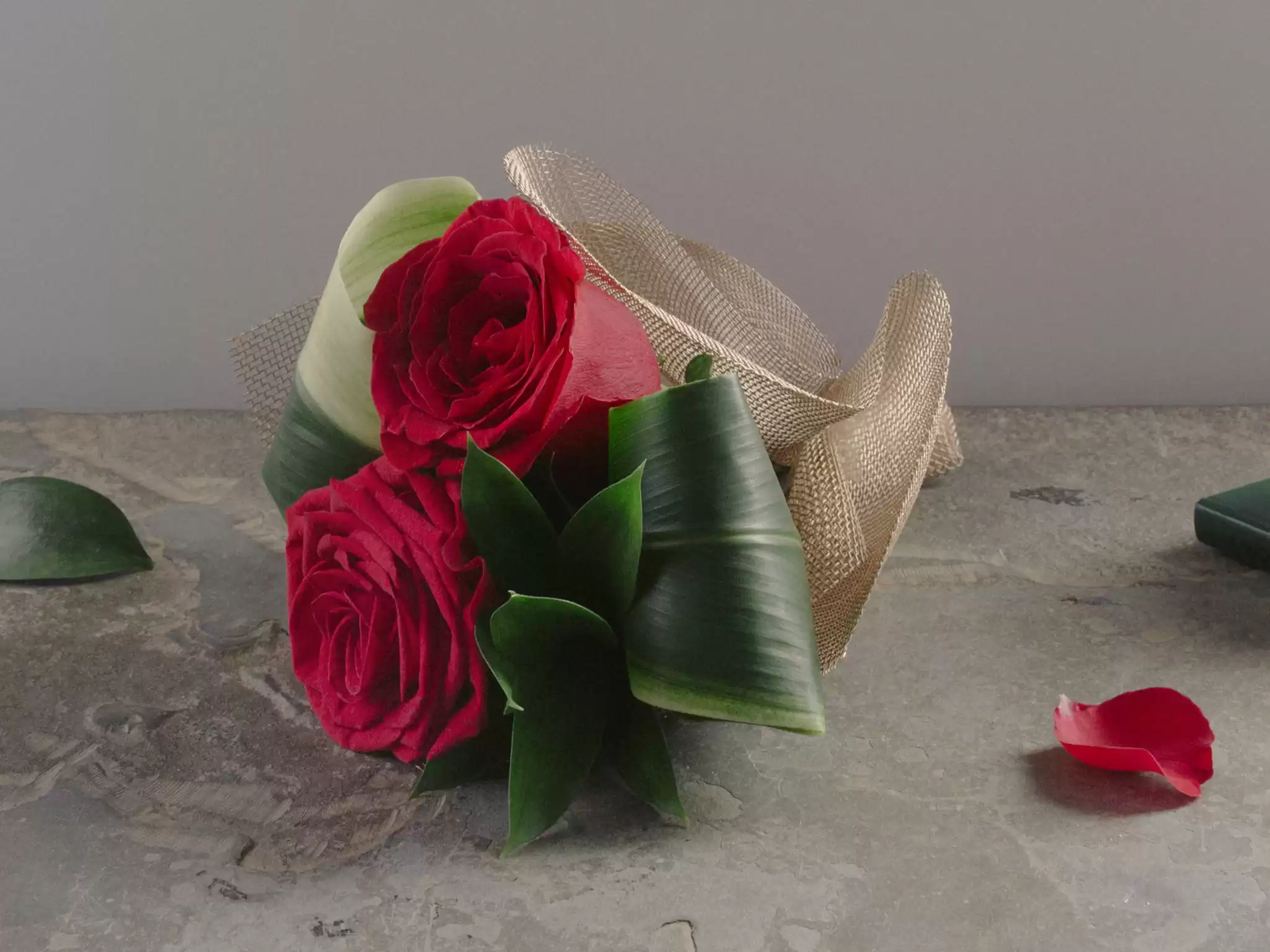 Constelação com Flores    150,00/m