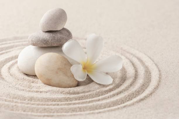 Meditação como caminho de vida